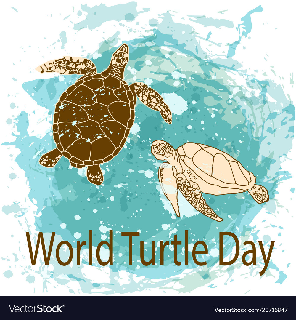 World Turtle Day Concept Royalty Free Vector Image World Turtle Day Concept Royalty Free Vector Image