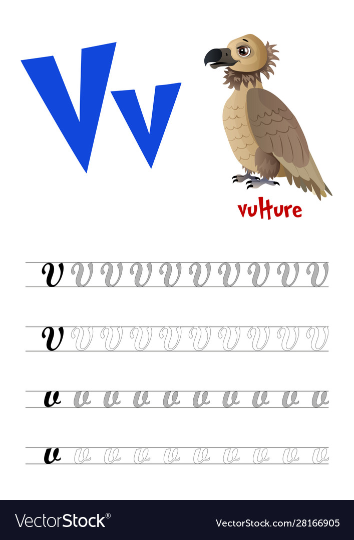 Design page layout english alphabet Royalty Free Vector