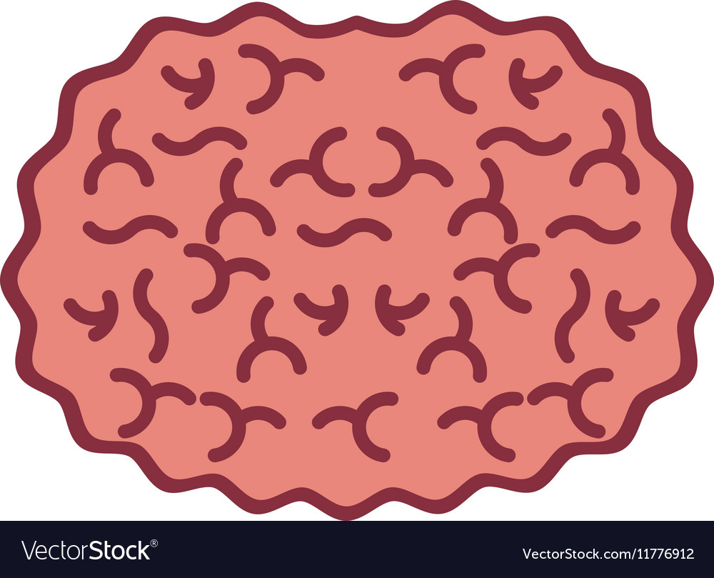silhouette view top brain in color vector image