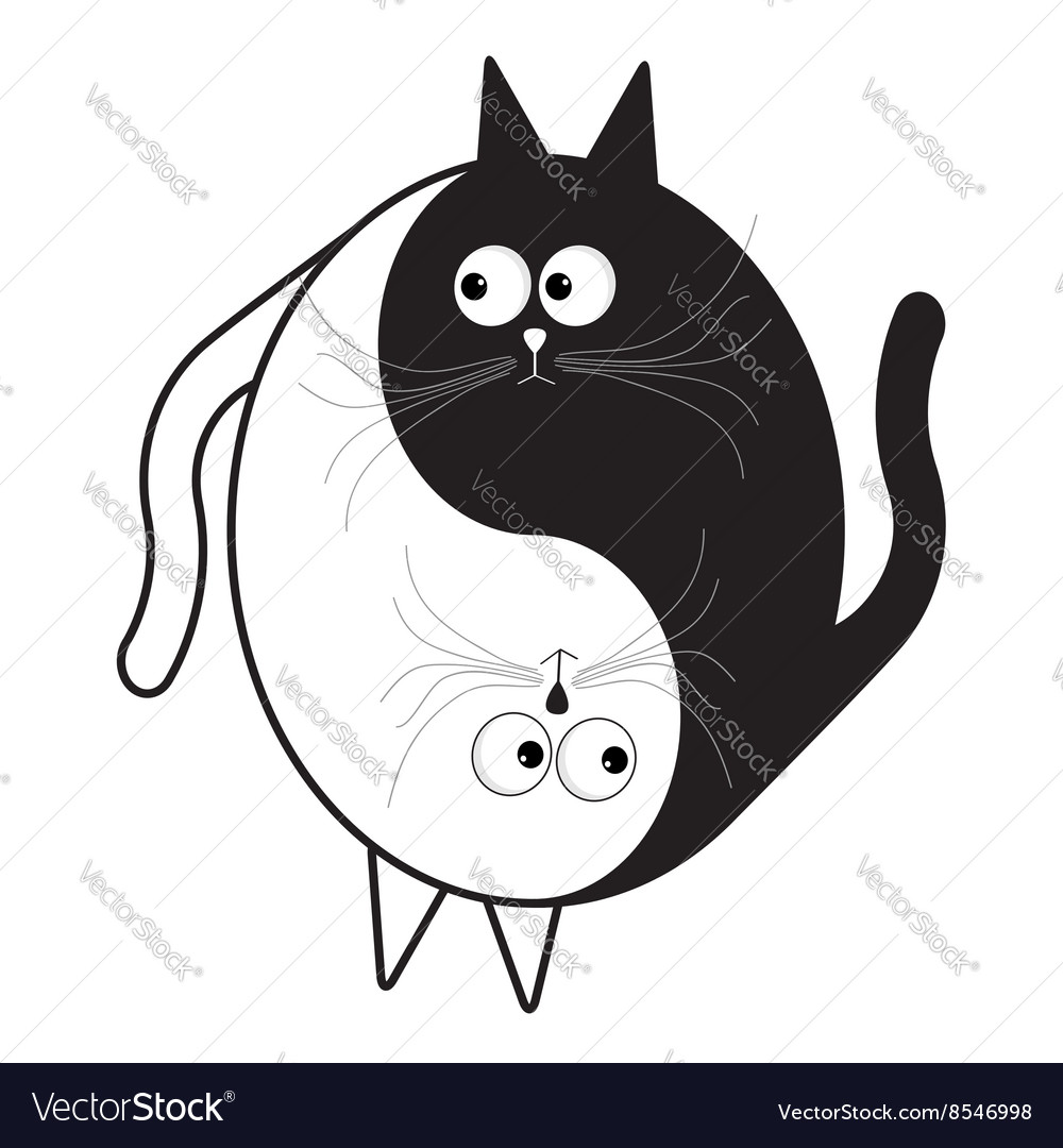 Image of funny yin yang images