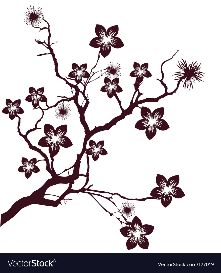 Cherry blossom Royalty Free Vector Image - VectorStock