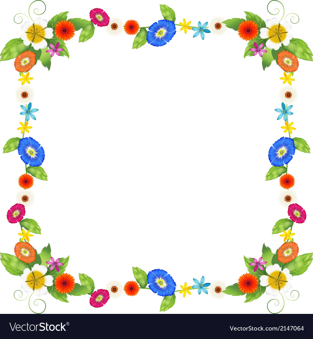 border design border design