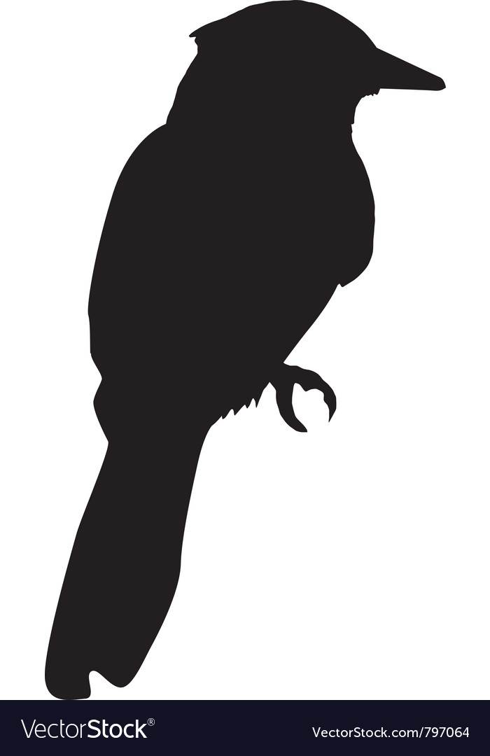 silhouette of kingfisher vector image
