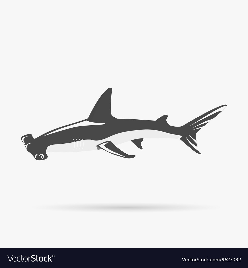 hammerhead shark icon vector image
