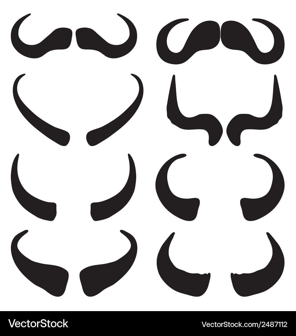 Buffalo horns Royalty Free Vector Image VectorStock