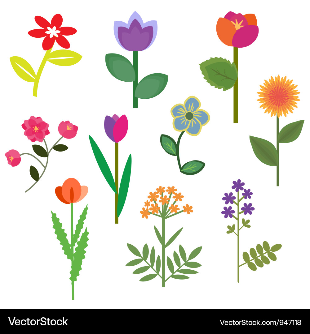Flowers set Royalty Free Vector Image VectorStock