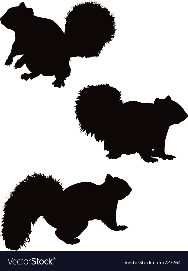 Download Squirrel silhouettes Royalty Free Vector Image