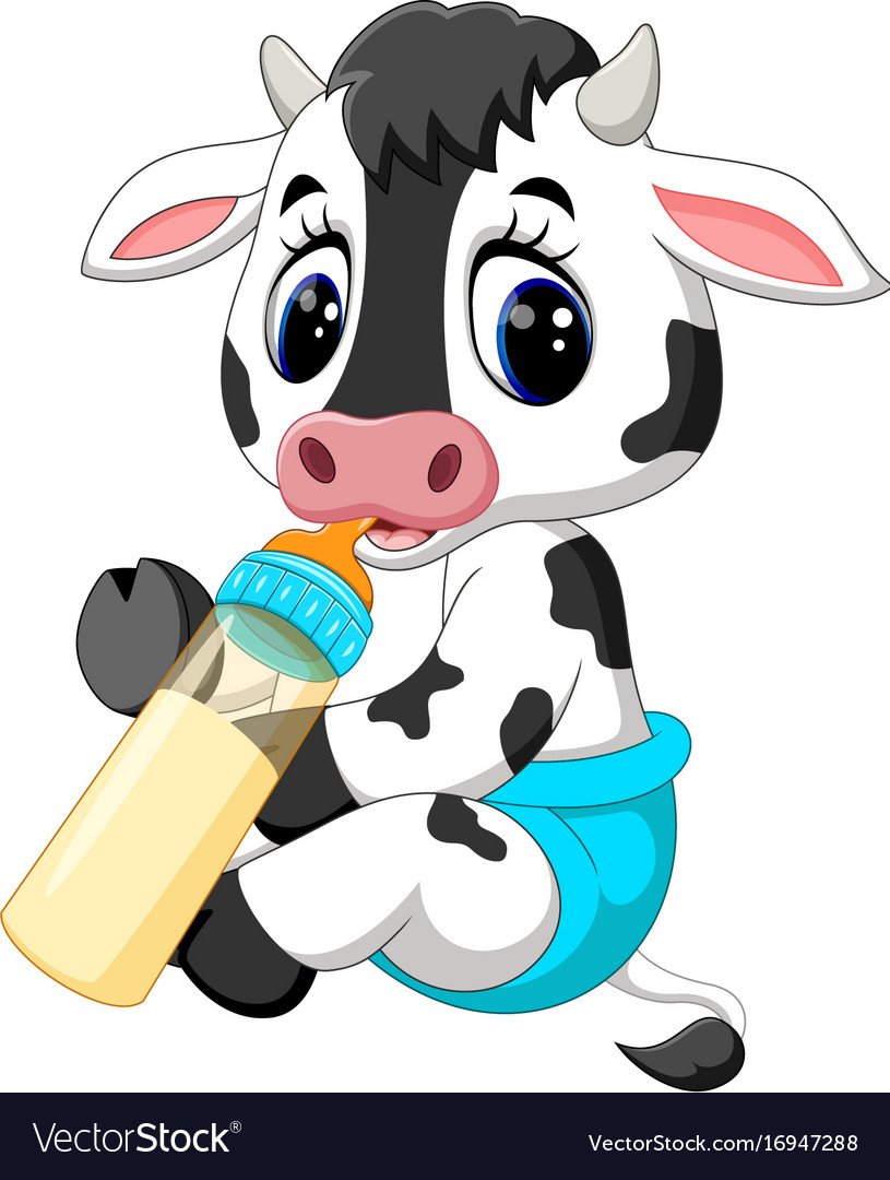 Cartoon Baby Cow Images  cartoon.ankaperla.com