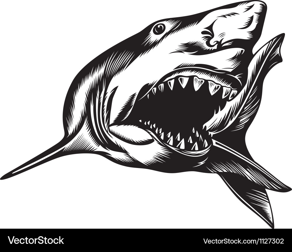 Free Free 66 Svg Shark Image Free SVG PNG EPS DXF File