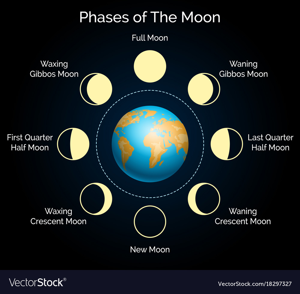 17+ Moon Phases Chart Pics