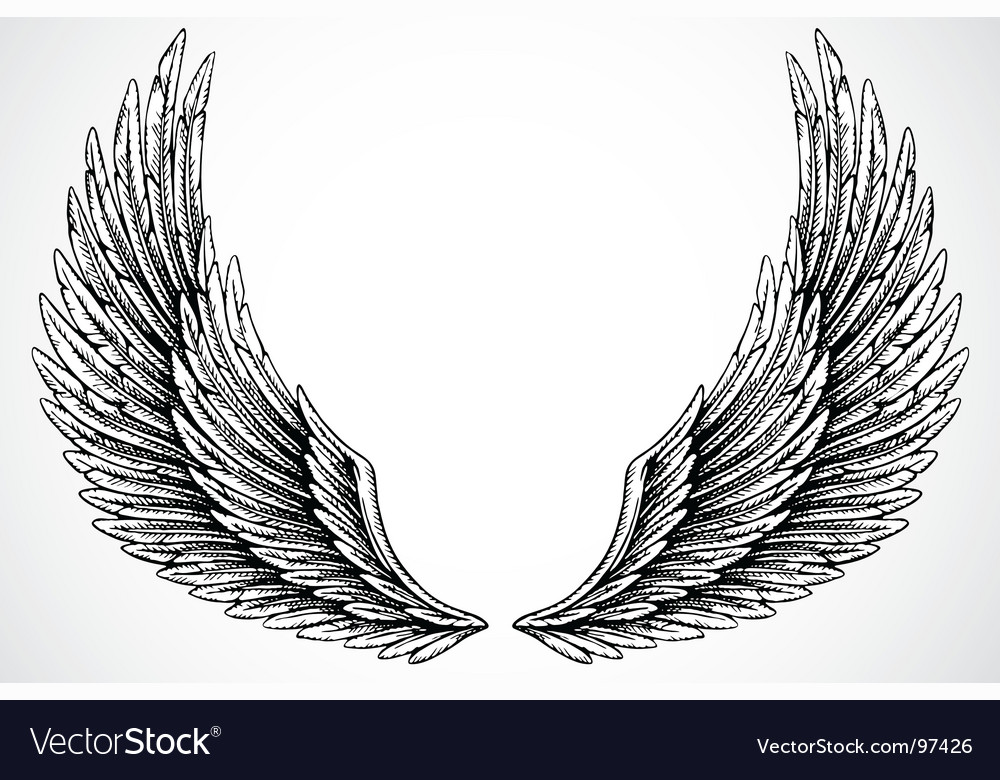 Wings Royalty Free Vector Image - VectorStock