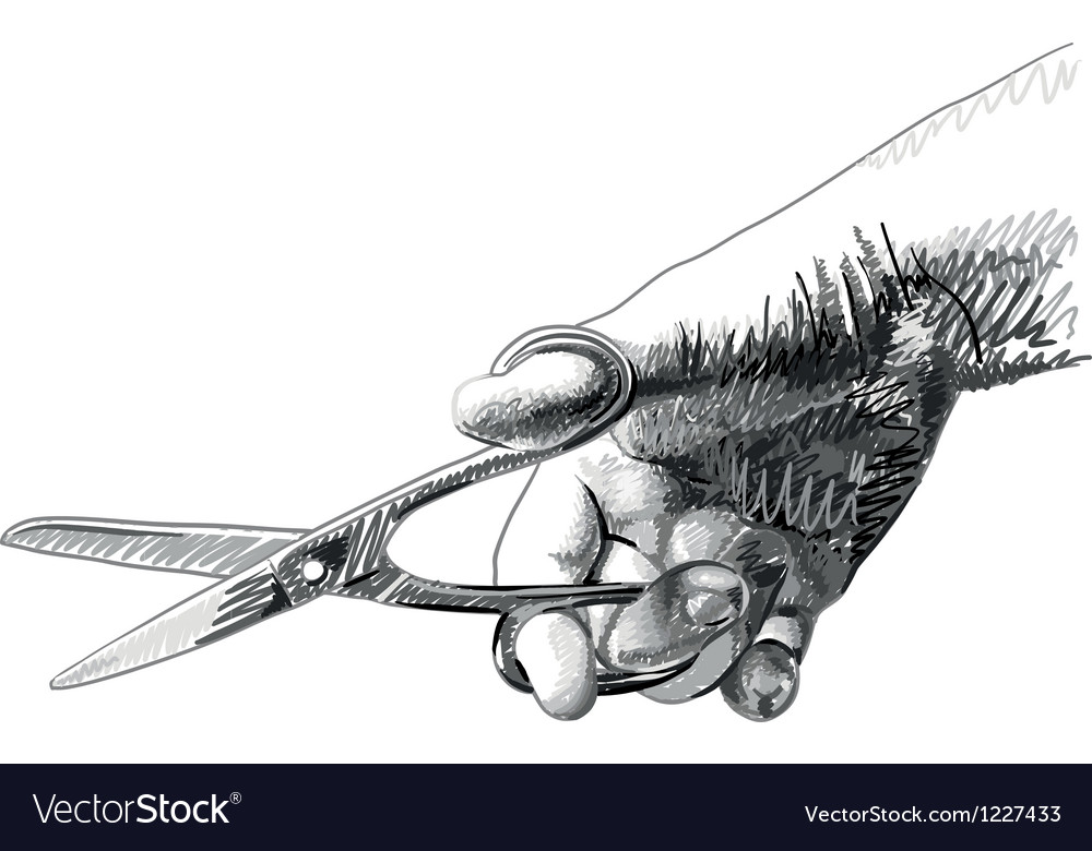 scissors sketch