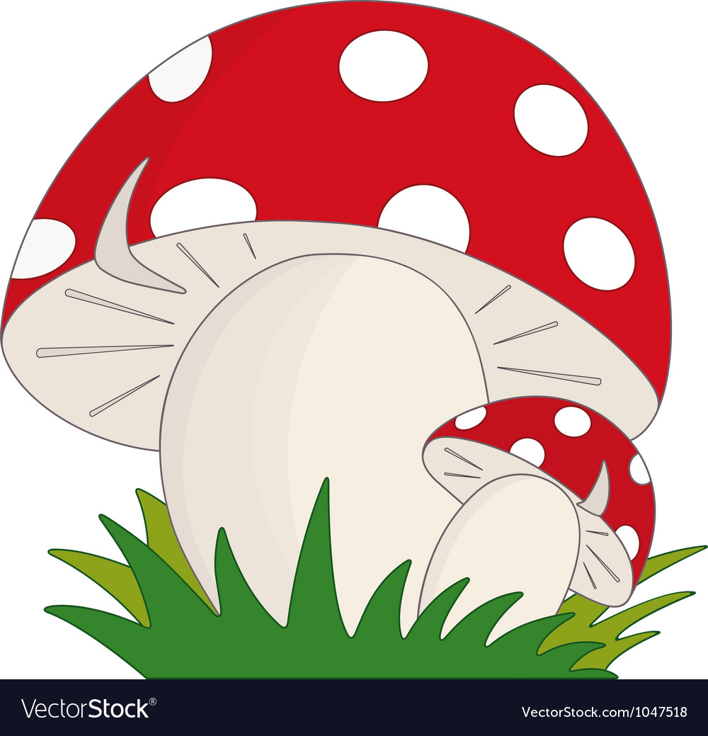 Mushroom Royalty Free Vector Image - VectorStock