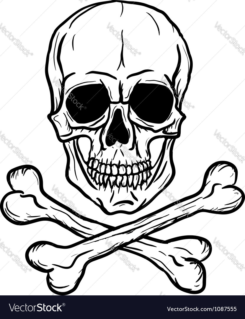 Skull And Crossbones Vector Image Skull And Crossbones Vector Image