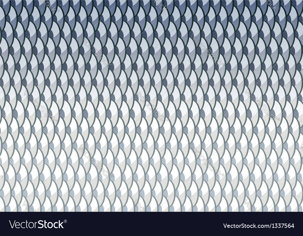 Download Fish scales background Royalty Free Vector Image - VectorStock