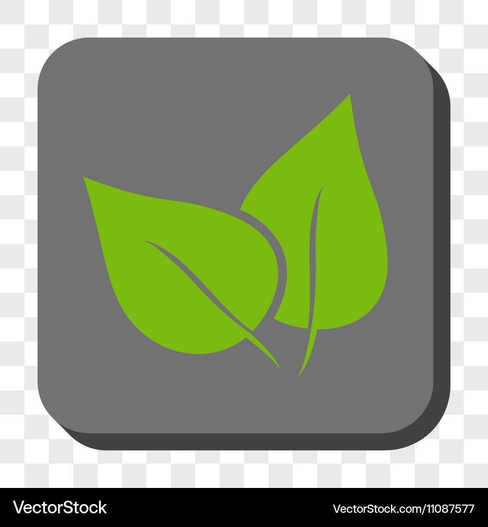 Flora plant rounded square button Royalty Free Vector Image