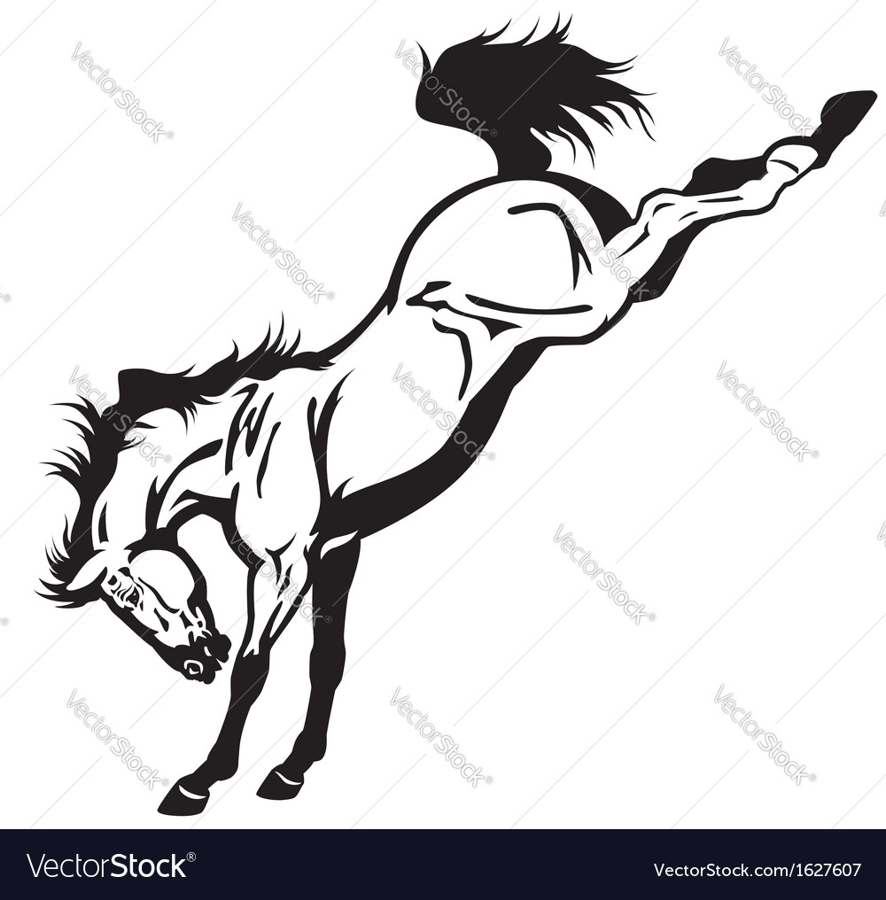 bucking horse black white vector image