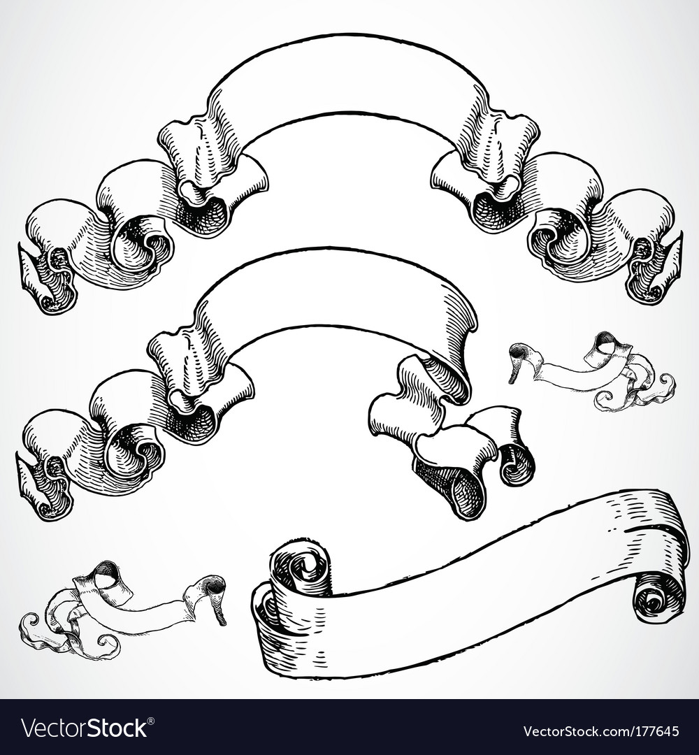 Scroll banners Royalty Free Vector Image - VectorStock