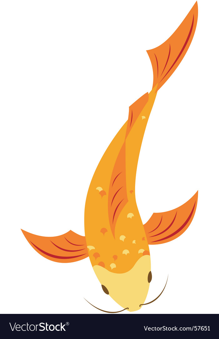 Download Koi fish Royalty Free Vector Image - VectorStock