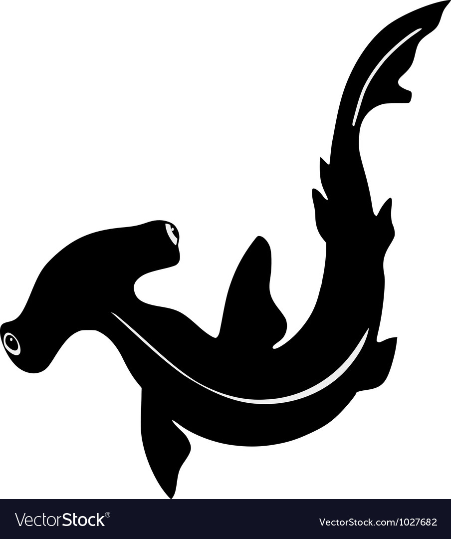 Free Free 50 Silhouette Hammerhead Shark Svg SVG PNG EPS DXF File