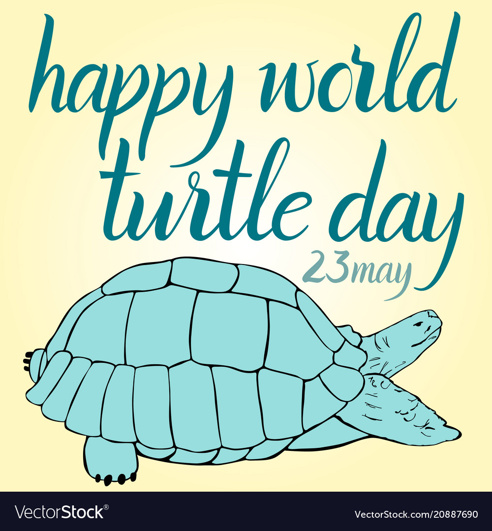 Inscription Happy World Turtle Day 23 May Vector Image Inscription Happy World Turtle Day 23 May Vector Image