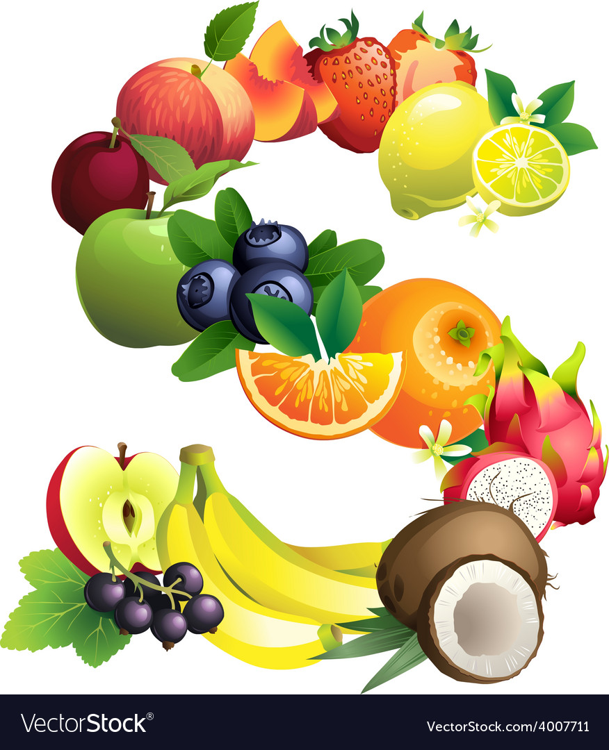 letter s composed of different fruits with leaves vector image composed letter