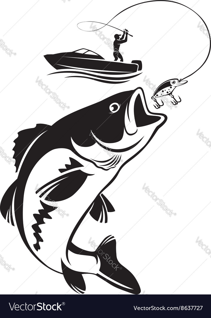 fish vector