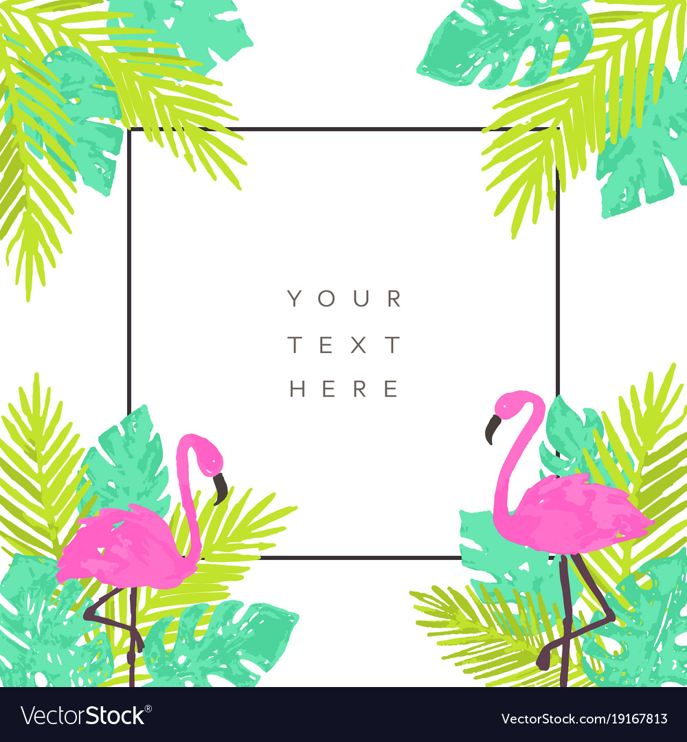 summer tropical background design vector 19167813