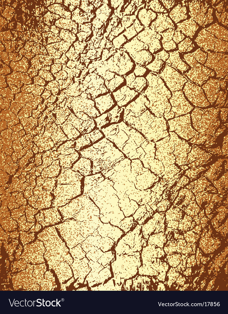 Tree bark Royalty Free Vector Image VectorStock