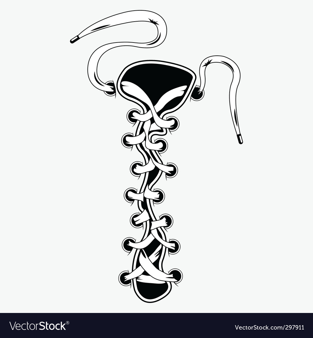 Shoe laces Royalty Free Vector Image - VectorStock