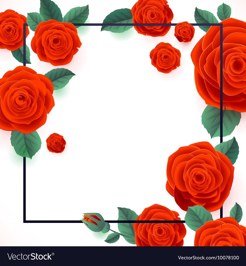 Red Roses On White Background Poster Royalty Free Vector Red Roses On White Background Poster Vector Image