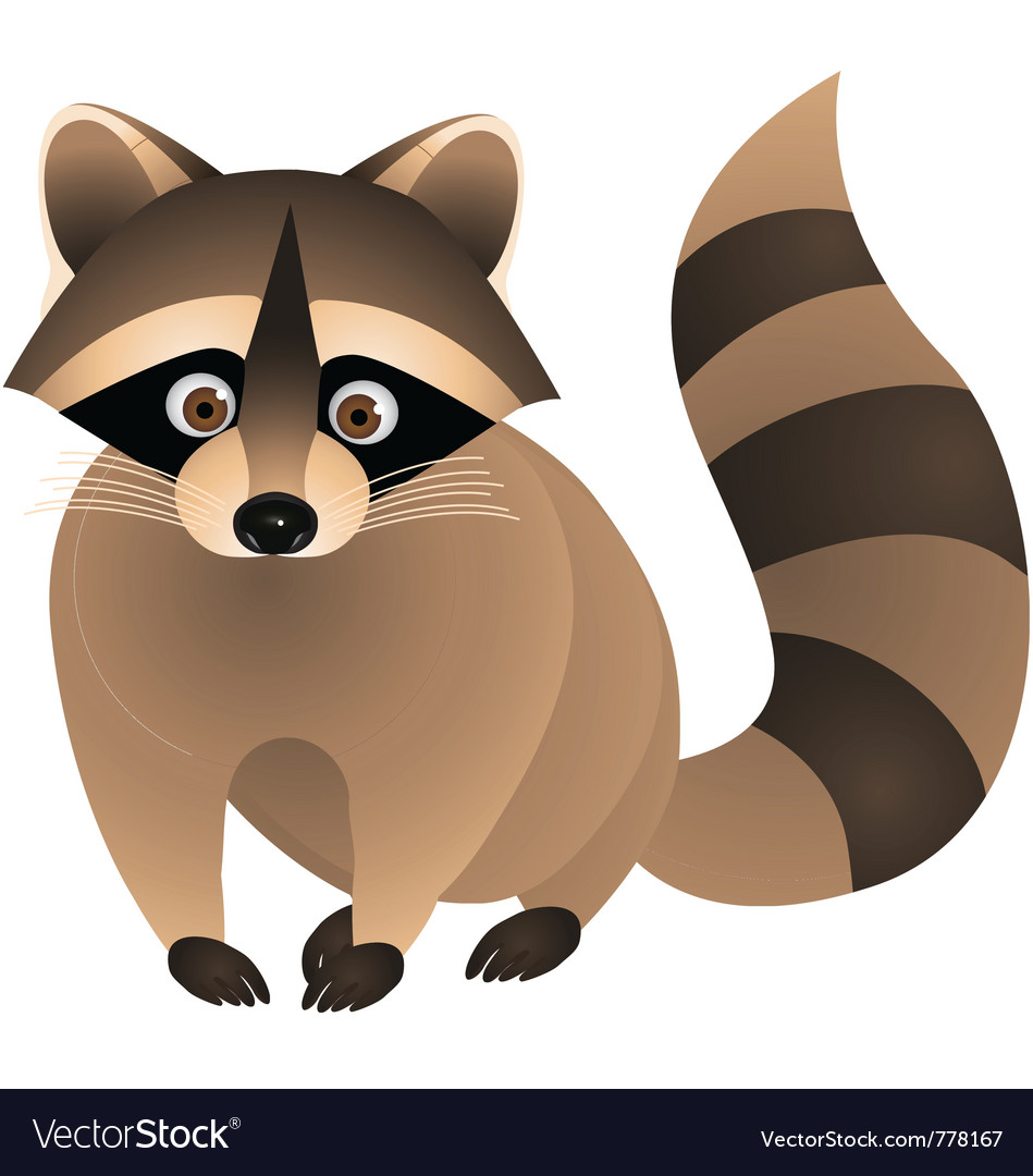 Raccoon cartoon Royalty Free Vector Image VectorStock