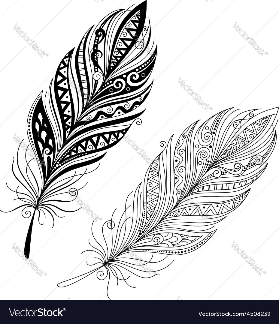 Peerless Decorative Feather Royalty Free Vector Image