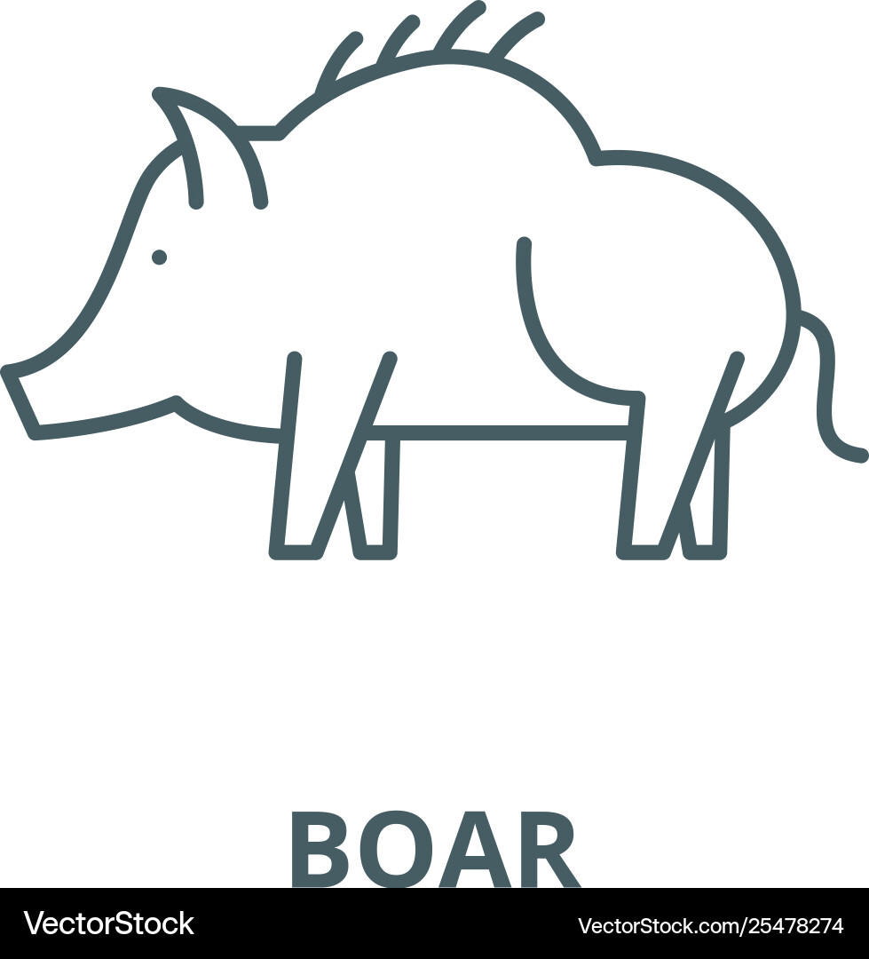 Boar line icon linear concept outline Royalty Free Vector