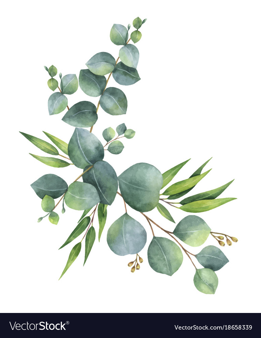 Watercolor wreath with green eucalyptus Royalty Free Vector