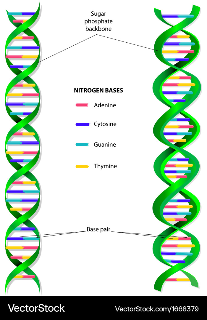 read nutrition and fitness mental health aging and the implementation of a healthy diet and physical activity
