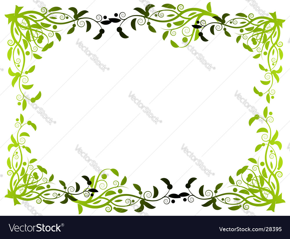 Flower border Royalty Free Vector Image - VectorStock