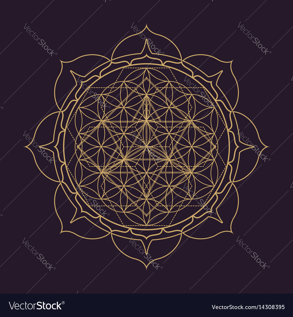 sacred geometry vector