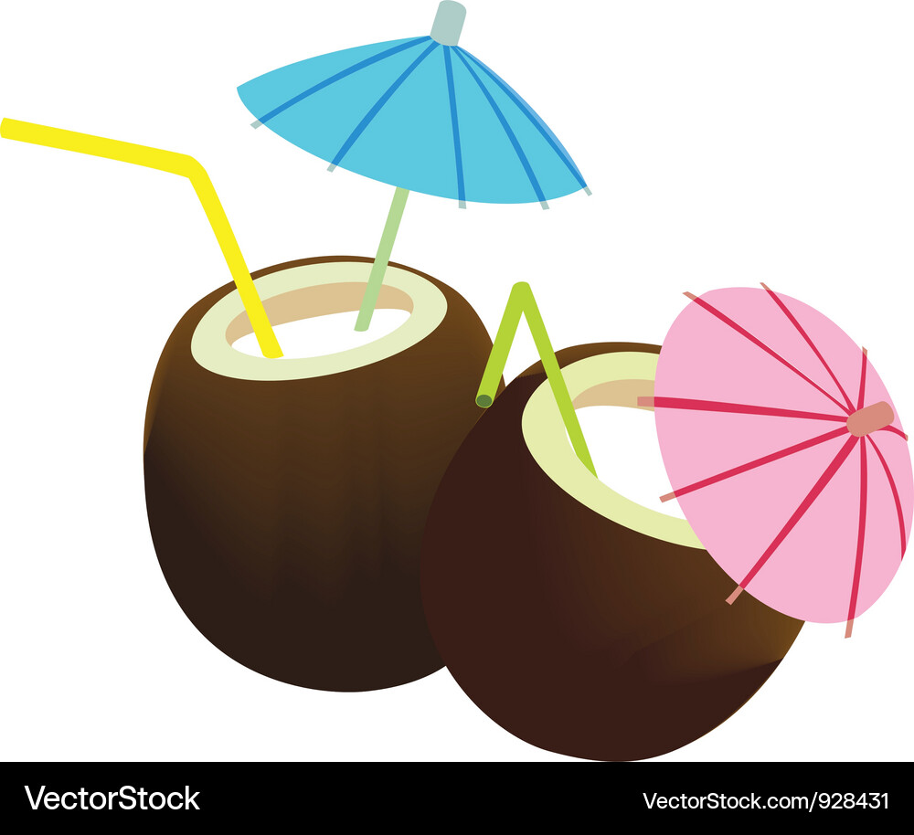 Coconut juice Royalty Free Vector Image VectorStock