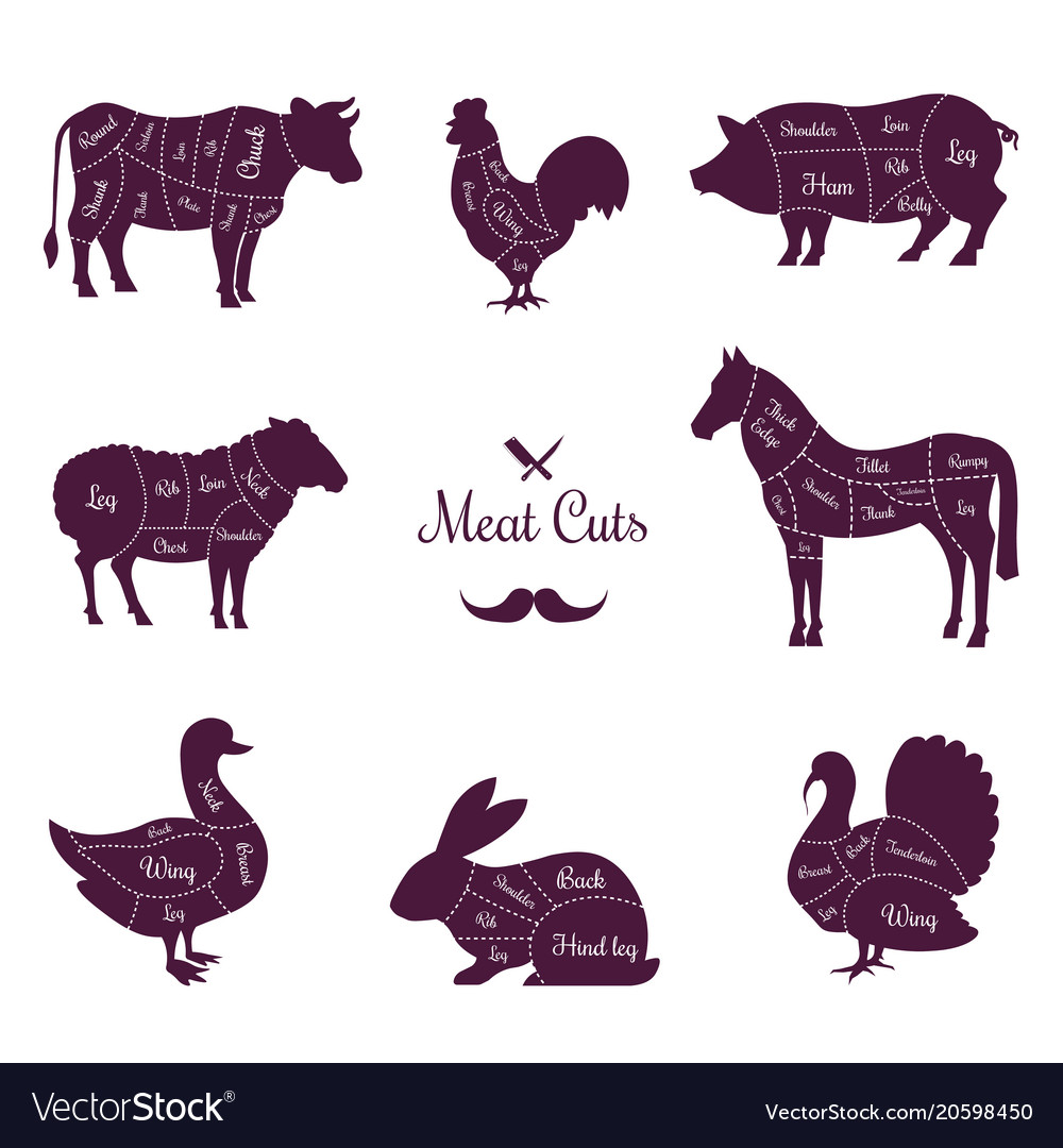 Meat cuts poster with named animals body parts Vector Image
