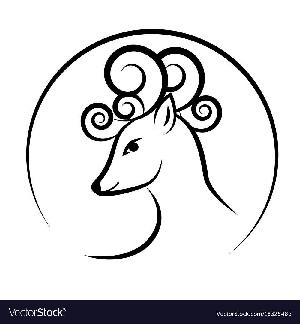 circle outline