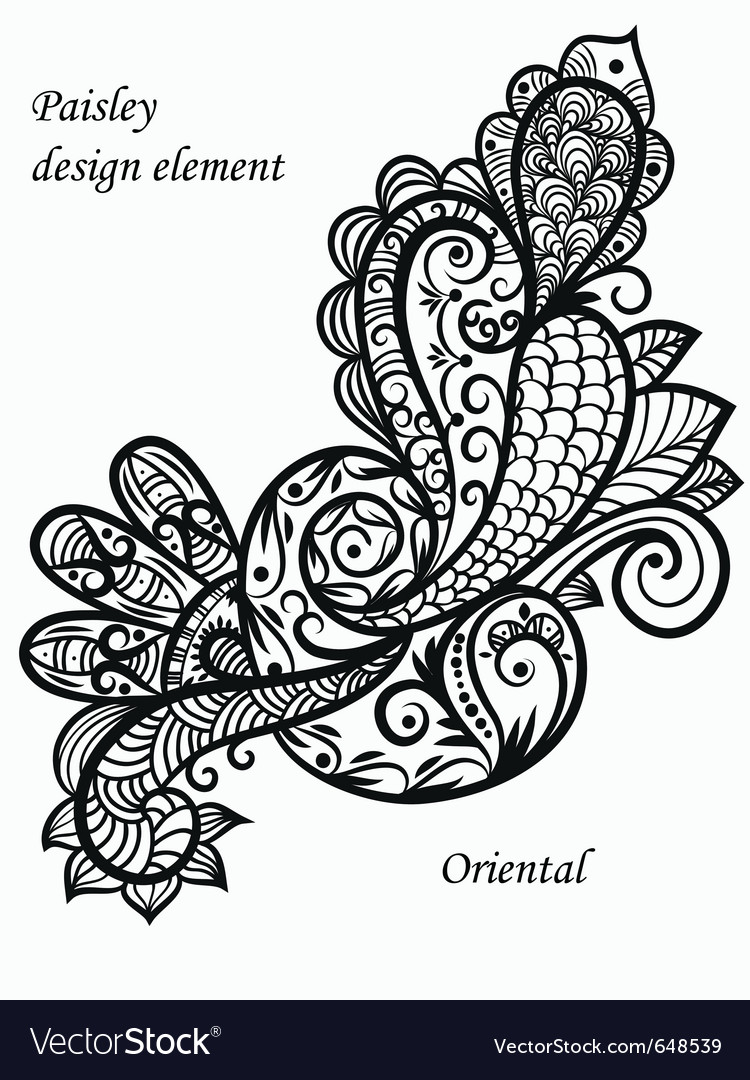 paisley vector