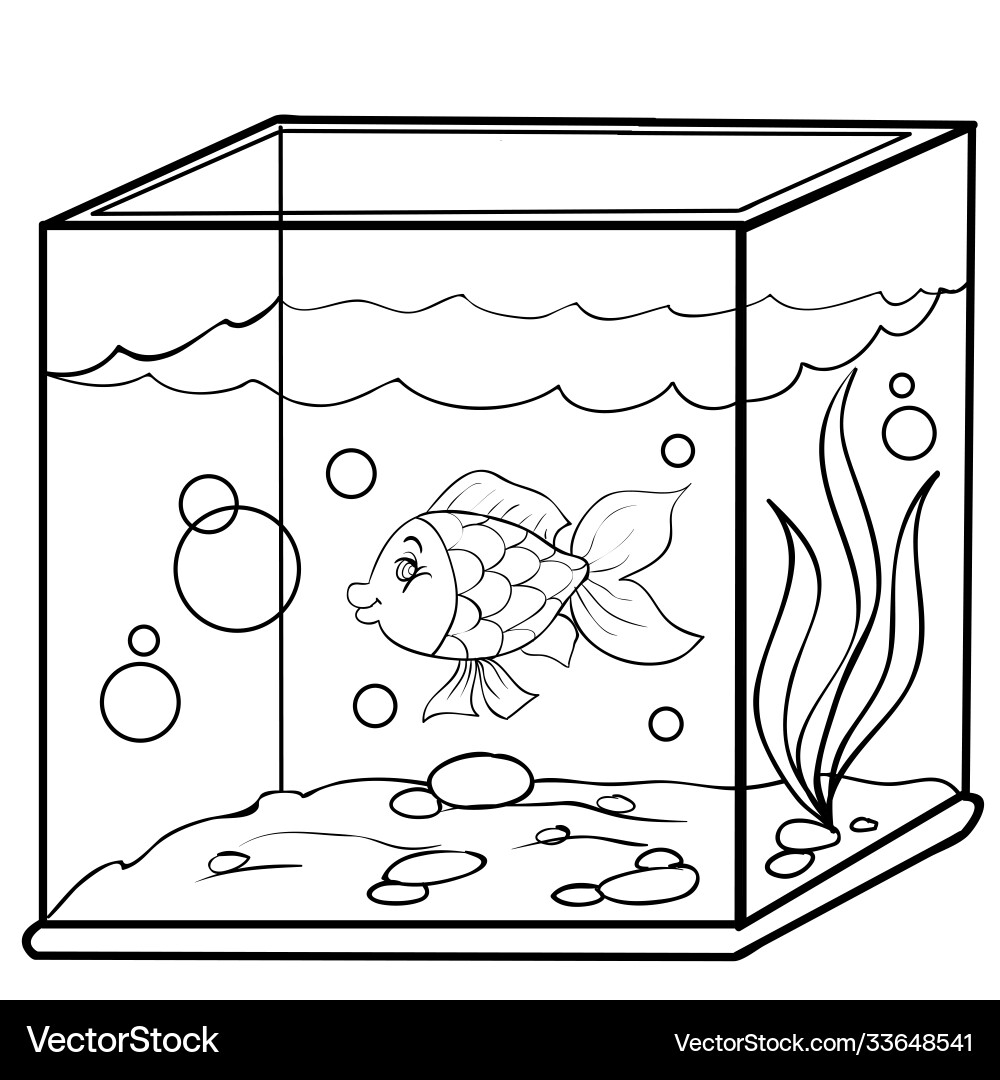 Sketch aquarium with fish coloring book Royalty Free Vector