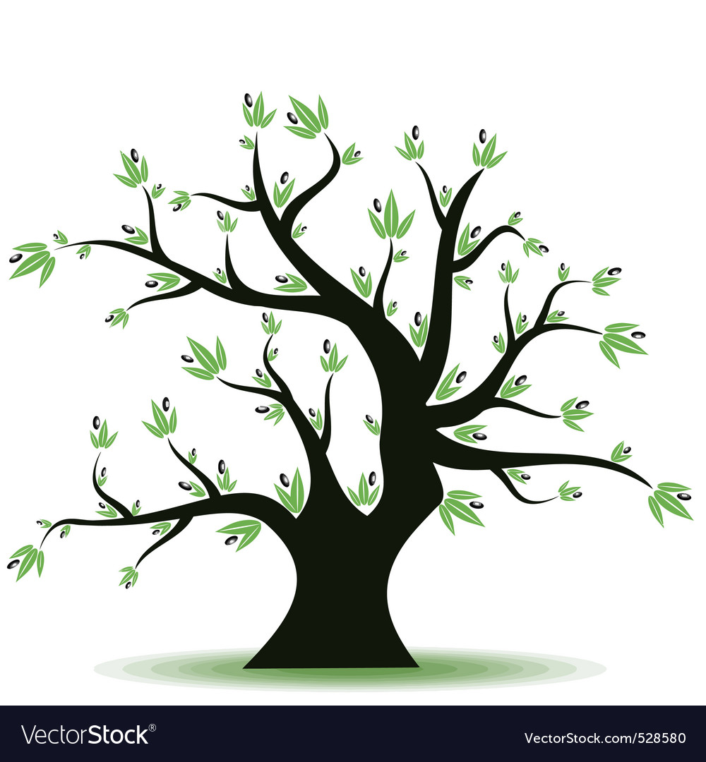 Olive tree Royalty Free Vector Image - VectorStock