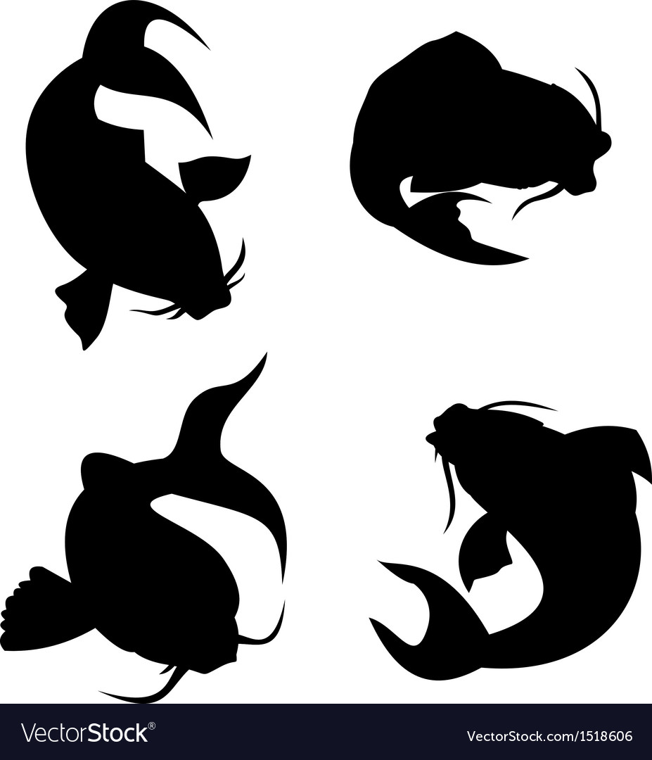 koi carp silhouette vector image