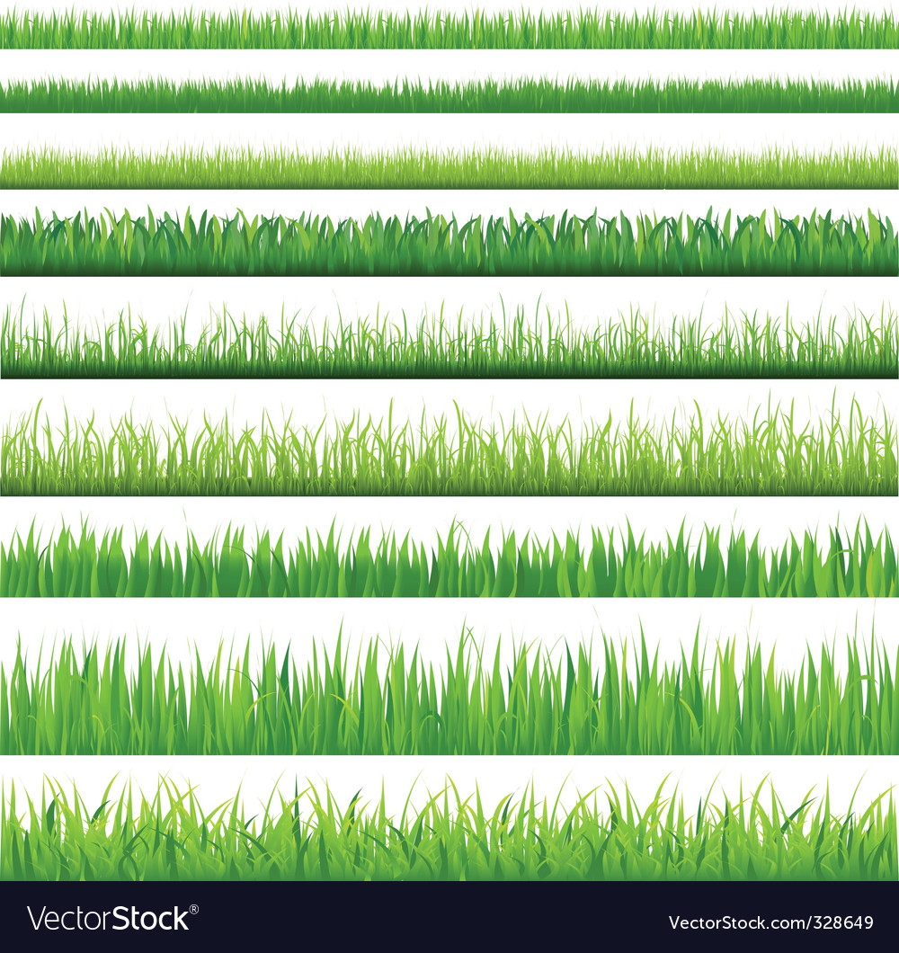 free grass vector