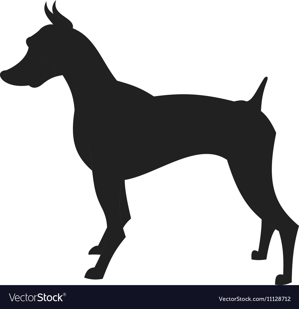 black male doberman silhouette vector image