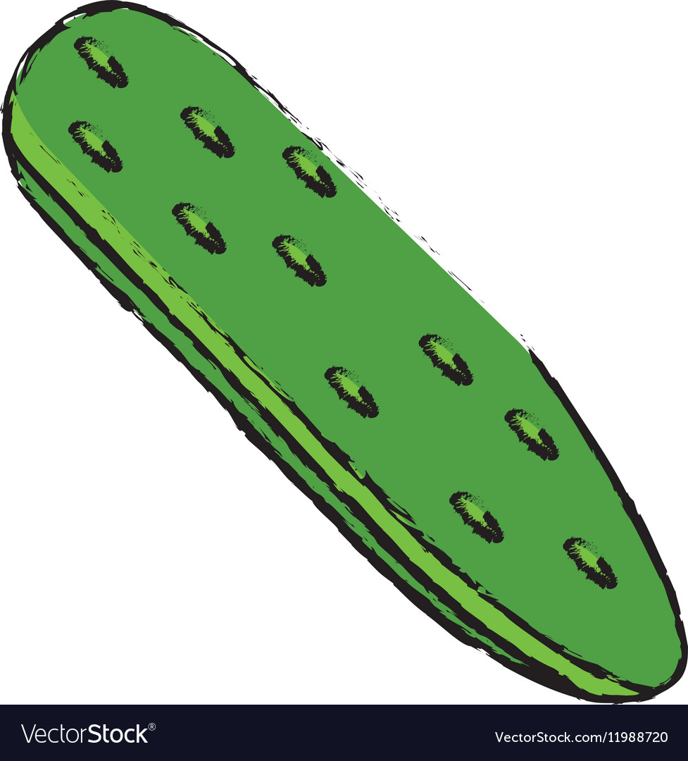 Drawing cucumber vegetable healthy nutrition icon Vector Image for Drawing Cucumber
570bof Drawing cucumber vegetable healthy nutrition icon Vector Image for Drawing Cucumber
570bof
