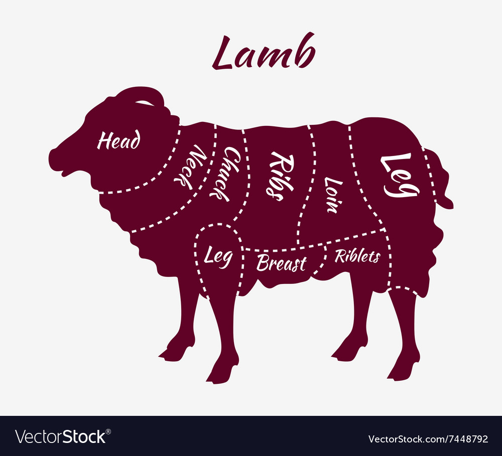 Cuts of Lamb or Mutton Diagram Royalty Free Vector Image for Lamb Cuts Chart
242xkb Cuts of Lamb or Mutton Diagram Royalty Free Vector Image for Lamb Cuts Chart
242xkb