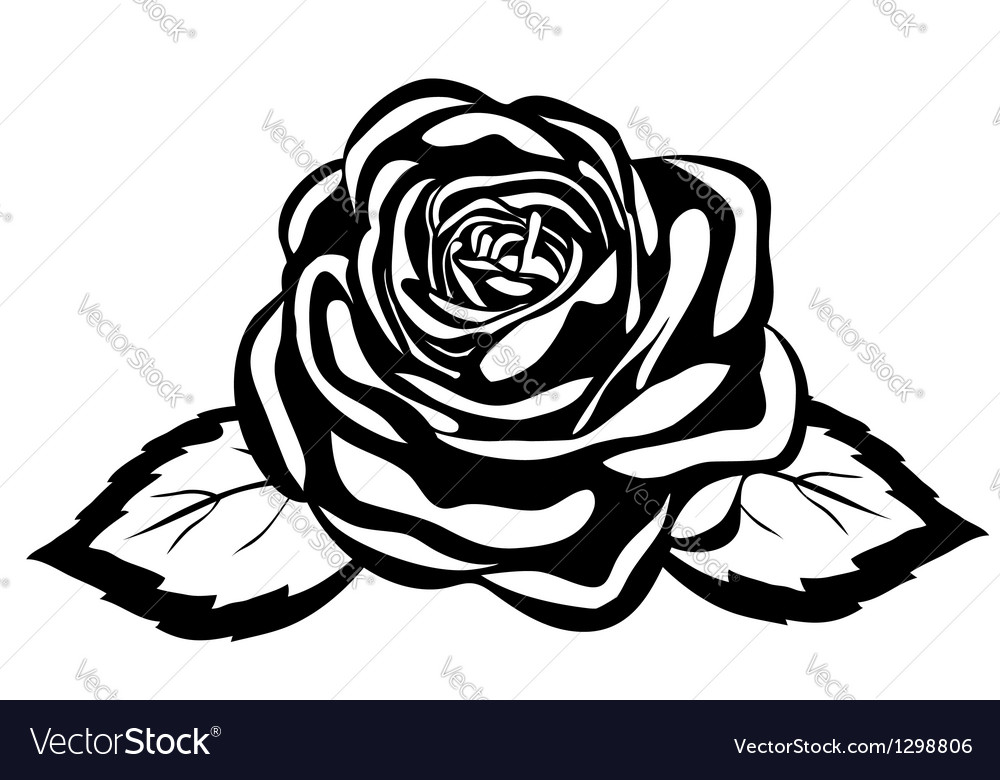 Abstract black and white rose Royalty Free Vector Image